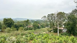 cần bán 1069,8m2, mt 48m, 250m2 thổ cư view cao, thoáng tại thôn nội minh quang - ba vì - tp hà nội