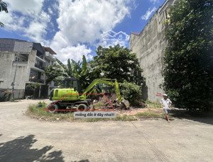 đất bạc đất vàng - đăng trong chán nản