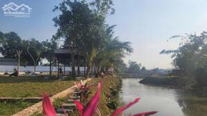 BÁN LÔ ĐẤT LK - BÁM SUỐI – SERENA KHOÁNG NÓNG SUNGROUP KIM BÔI – GIÁ CHỈ 666 TRIỆU