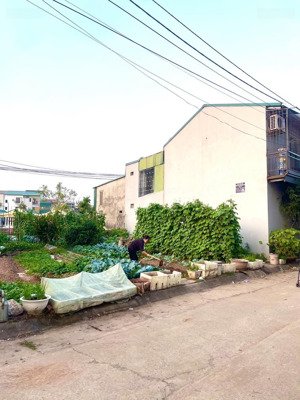 chính chủ gửi bán 53m đấu giá lại yên sơn đồng.giáp hồ điều hoà mát mẻ.