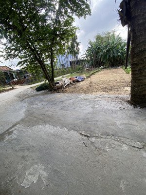 bán đất khu bê tông điện nam bắc - sát trục đt 607 phù hợp ở đầu tư sinh lời nhanh