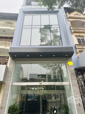 chủ cần bán gấp cho con đi du học nhà 7tầng lô góc mặt phố hàng cháo 46m2 thmáy mt5m 30.5tỷ đống đa