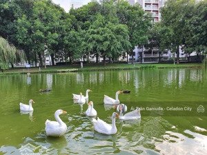 căn 3pn 142m2 diamond brilliant giá 9,2 tỷ bao phí thuế 102%. sẵn hd thuê. nhận nhà ngay