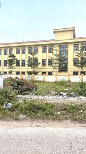 đất đấu giá x5 ngự tiền thanh lâm mê linh