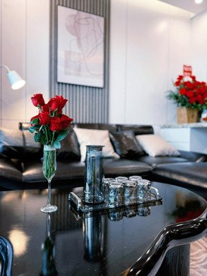 cho thuê căn hộ diamond crown 2 phòng ngủ, 2 wc view lê hồng phong giá 13 triệu/tháng