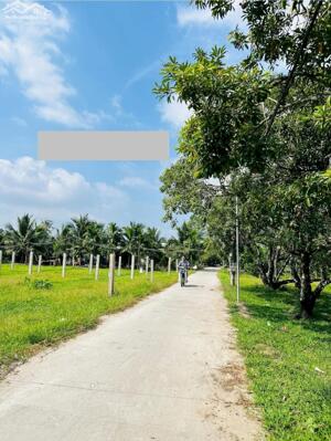 Đất nền mặt tiền giá rẻ lộ đan đường xe hơi 7c. Kim Sơn. Tiền Giang.