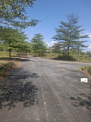 trục a19 kđt sentosa!ngang 6m.đường 17.5m(đối diện công viên) cạnh trục 27m.thông sông cổ cò