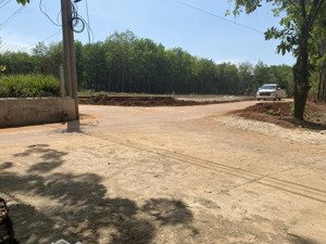 bán gấp 1000m2 sổ hồng riêng đường nhà nước hiện hữu 18m chỉ 279 triệu phường an lộc đồng nai