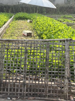 mặt tiền 5,2m, diện tích 58m2 bán đất đông tảo giá 1,8 tỷ đường thông ô tô tránh