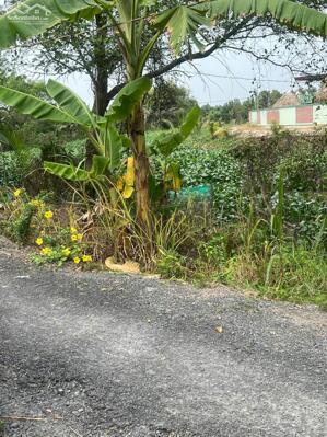 Đất Full Thổ Cư KDL Đương Đại Cầu Kinh Thầy Cai, Nhơn Phú 290m2