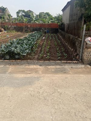 phân lô ô tô tránh mặt tiền 4,5m, diện tích 65m2 bán đất đông tảo giá 2 tỷ có tl cho kh thiện chí