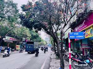 duy nhất một căn trung tâm mậu lương nhà phân lô ô tô chạy vùng quanh 10m ra mặt phố mậu lươn