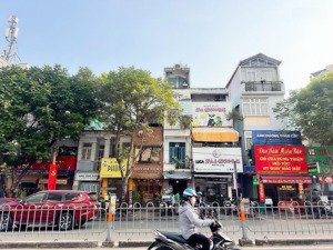 hiếm- bán nhà 2 tầng mtkd đ.nguyễn cư trinh, q.1- dt 33m2 sh nở hậu đẹp- chỉ 14,5ty- vị trí kd đỉnh