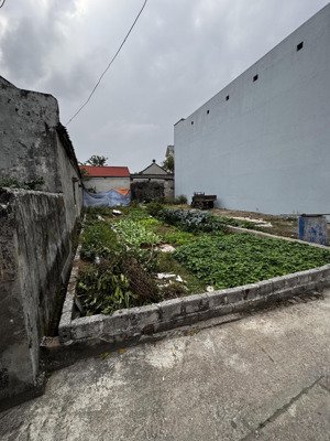 chính chủ cần bán gấp lô đất hiền giang - thường tín