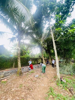 chính chủ bán đất vườn phường xuân lập. giá 1tỷ350 tl. xem đất tuyền