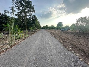 chủ kẹt tách bán gấp 3 sào - 100m2 tc - giá 480tr/1s