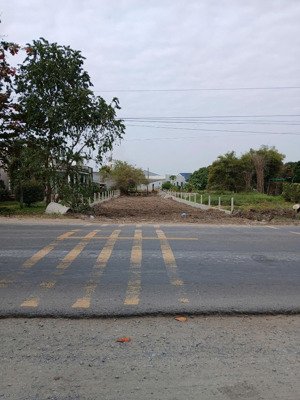bán đất mtkd quốc lộ n2 đức hòa - long an
