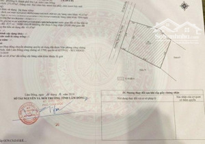 lô đất xd 272.97m2-nguyễn an ninh p6 đà lạt-ngay trung tâm tp, gần hồ xuân hương 2km, chợ ngô quyền