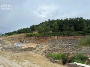 thông báo đấu giá tài sản công ty đấu giá hợp danh lam sơn sài gòn