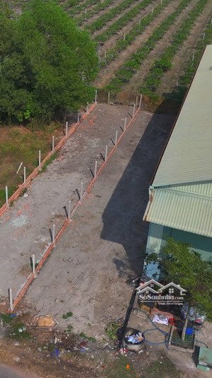 view núi bà đen thoáng đẹp lô đất vị trí đẹp dương minh châu