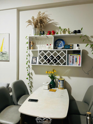 cần bán căn hộ 56m2 mizuki park view thoáng có nội thất