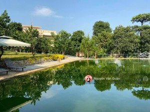 villa nghỉ dưỡng đẳng cấp hòa lạc - đẳng cấp thượng lưu - view triệu $ lh 