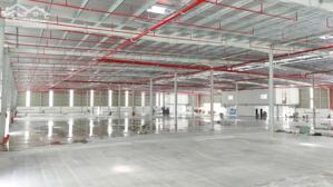 Cho thuê xưởng 10.000m2 KCN Becamex Bình Phước, Chơn Thành, Bình Phước