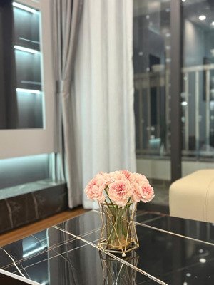 chính chủ bán căn ct4 bộ tư lệnh 90m2 tầng trung căn góc 01 full nội thất giá rẻ