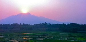 bán đất gần lối ra đại lộ thăng long kéo dài và đường cao tốc trên cao, 5,8 tỷ, 591.9 m2 full đất ở