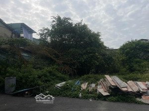 98tr/m trung tâm quận 7 ngay chợ bùi văn ba,đường 7m xe hơi tránh nhau thoải mái,được xây 5 tầng