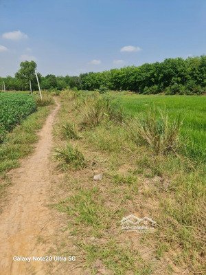 chủ kẹt tiền bán gấp 1.2 mẫu đất đường xe hơi, châu thành, 650tr