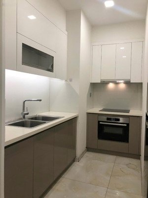 cho thuê cc 1pn, 1wc, 50m2, 22 triệu tại vinhomes golden river, bến nghé, q1, hcm