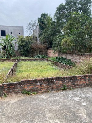 bán đấu giá chi đông-lệ chi-thuận an
-tọa lạc tại xã lệ chi, gia lâm, hà nội, mảnh đất 66m2