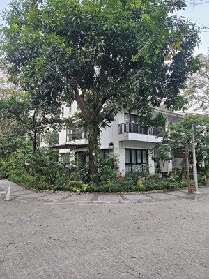 bán nhanh căn góc park river - ecopark mặt tiền cực rộng