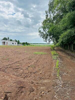 THANH LÝ 500M2 TẠI BIỂN LỘC AN PHÙ HỢP LÀM NHÀ VƯỜN NGHỈ DƯỠNG