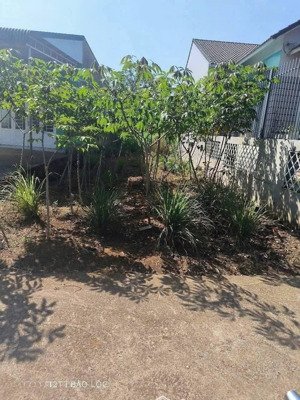 lô đất 94m2 tại xã hoà ninh, di linh, lâm đồng, giá cực tốt 1,05 tỷ