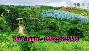 bán gấp sổ đất 2 mặt tiền view thông đẹp giá chỉ 950tr