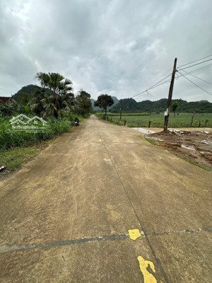 bán đất tại xã khánh thủy, yên khánh, ninh bình, 9,5 tỷ, 1000m2