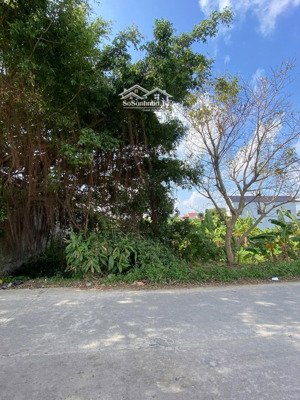 bán đất 950m2 tại khánh thủy, yên khánh, ninh bình, giá 9,8 tỷ hot