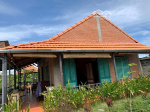 bán trang trại, khu nghỉ dưỡng tại đường ấp 4, bến lức, long an, 2,6 tỷ, 749m2