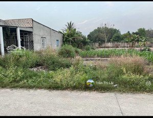 chủ kí gửi gấp đất bàu bàng nằm giữa dt749a, kế bên chợ long nguyên 2 phút đất ở thổ cư 100m2 shr