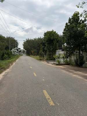 bán đất phường long nguyên, tphcm (xã long nguyên huyện bàu bàng tỉnh bình dương cũ)