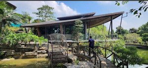 giảm 1 tỷ lô đất nghỉ dưỡng gần ngay metro 12 diện tích 863m giá nhỉnh 14tr