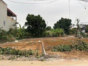 chỉ 2,x tỷ sở hữu đất giữa lòng phố thắng, cách ông tượng 500m, ngõ ô tô thông thoáng