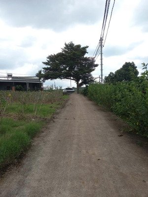 chính chủ cần bán gấp lô đất thích hợp làm nghỉ dưỡng ngay xã tân văn, lâm hà, lâm đồng