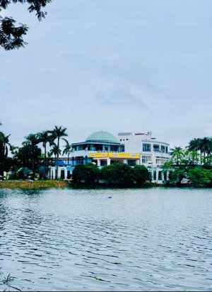 dân xây-mặt phố-lô góc- kinh doanh bất chấp-gần hồ trấn vũ-trúc bạch-dòng tiền ổn định-ba đình dt