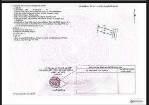 chỉ hơn 500tr để sở hữu 65m2 ngay trung tâm thị trấn ba hàng đồi