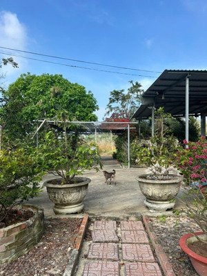 diện tích 5hecta. thổ cư 400m2 gồm nhà gỗ vườn cây ao cá đây đủ