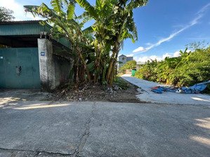 hàng hiếm còn sót lại duy nhất 1 lô tại bắc sơn, an dương