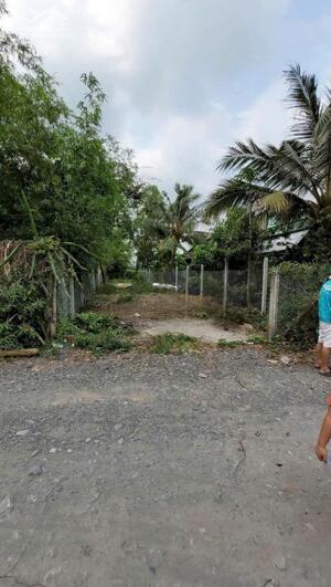 Bán đất thổ cư thị trấn Hậu Nghĩa , Đức Hòa cách tl 825 550m , dt 232,8m2 giá 1,55 tỷ